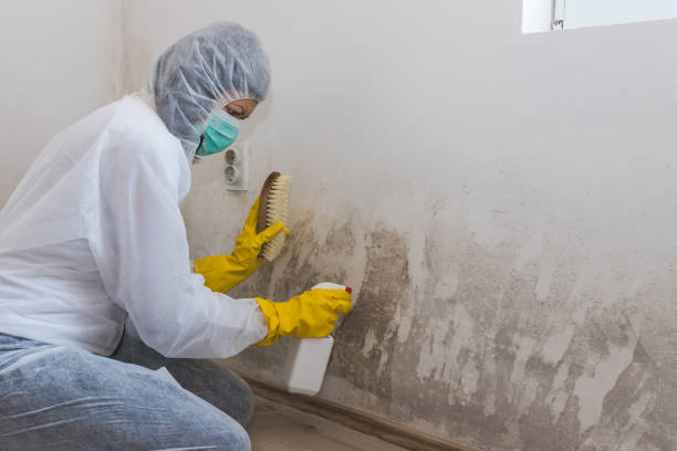 Best Mold Testing  in Gholson, TX