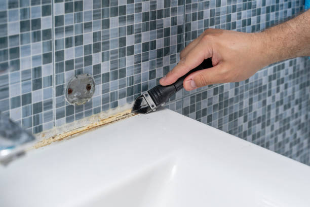 Best Certified Mold Removal  in Gholson, TX
