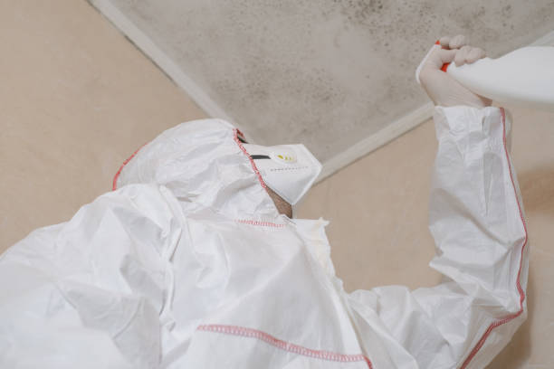 Best Local Mold Removal Service  in Gholson, TX